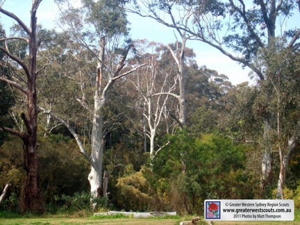 Grounds - View to bushland